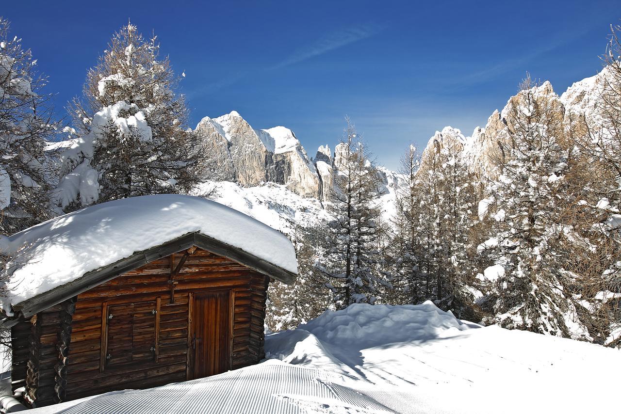 B&B Garni Villa Campitello Campitello di Fassa Dış mekan fotoğraf